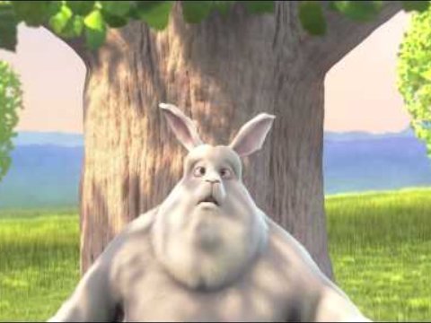 Big Buck Bunny